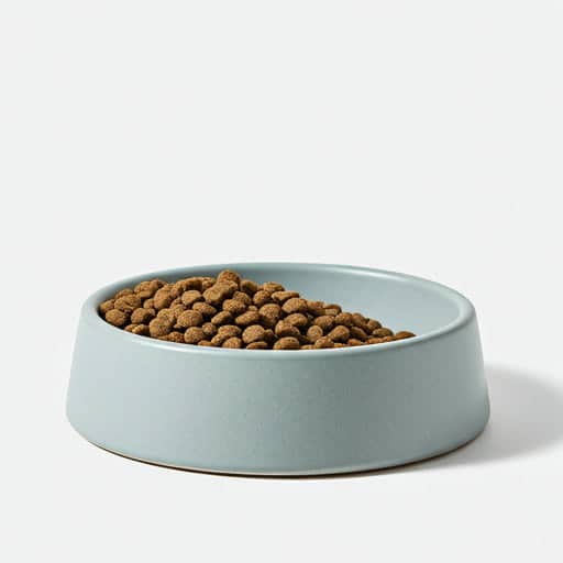 Matte green ceramic pet bowl by LUCK CLAWS.